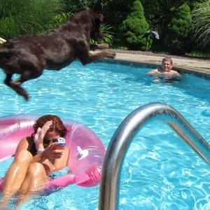 Meet your Posher, Ann